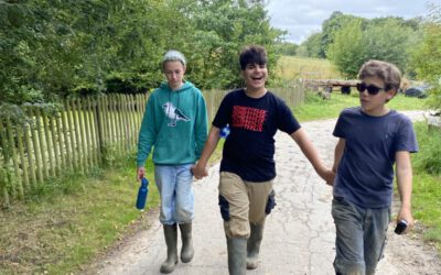 Herausforderung: Elf Tage auf dem Gut Marienhof in Hattingen